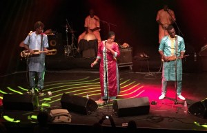 Bassekou Koyate & Ngoni Ba